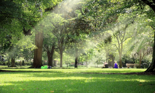 1657697169323241.png 圖片4(1).png